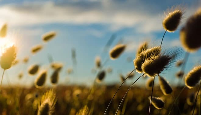 Common Grace, Natural Law and Eschatology