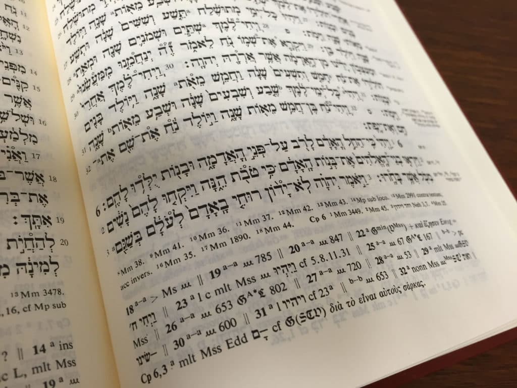 The Theological Interpretation of Scripture