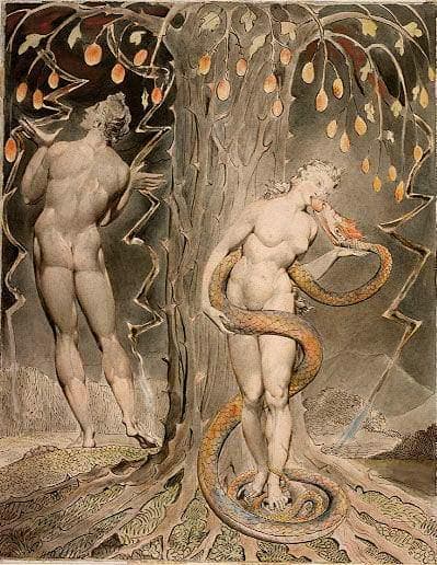 Creation and the Fall of Mankind in Adam