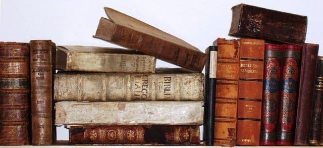 Reading the Bible as Literature (5)