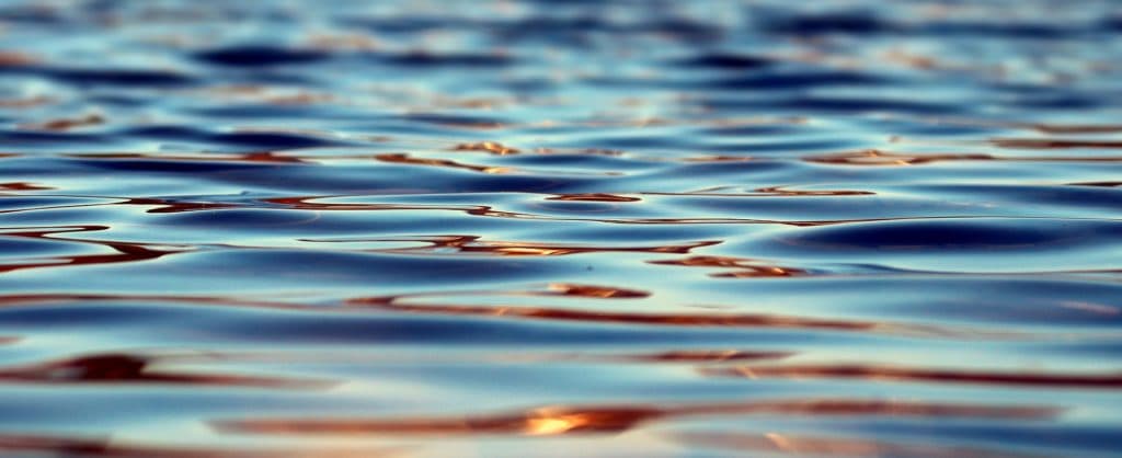 The Impeccability of Jesus Christ