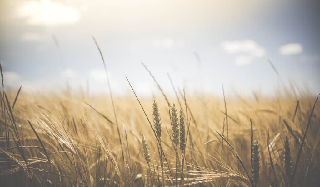 Reformed Forum, the Church, and the Great Commission