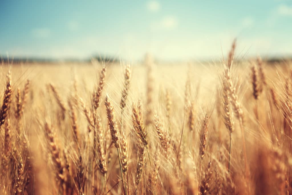 Reformed Missions and Evangelism