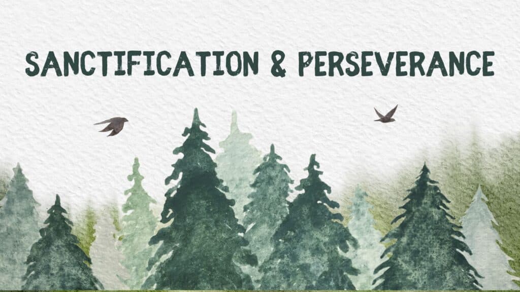Summary of Christian Doctrine: Sanctification and Perseverance
