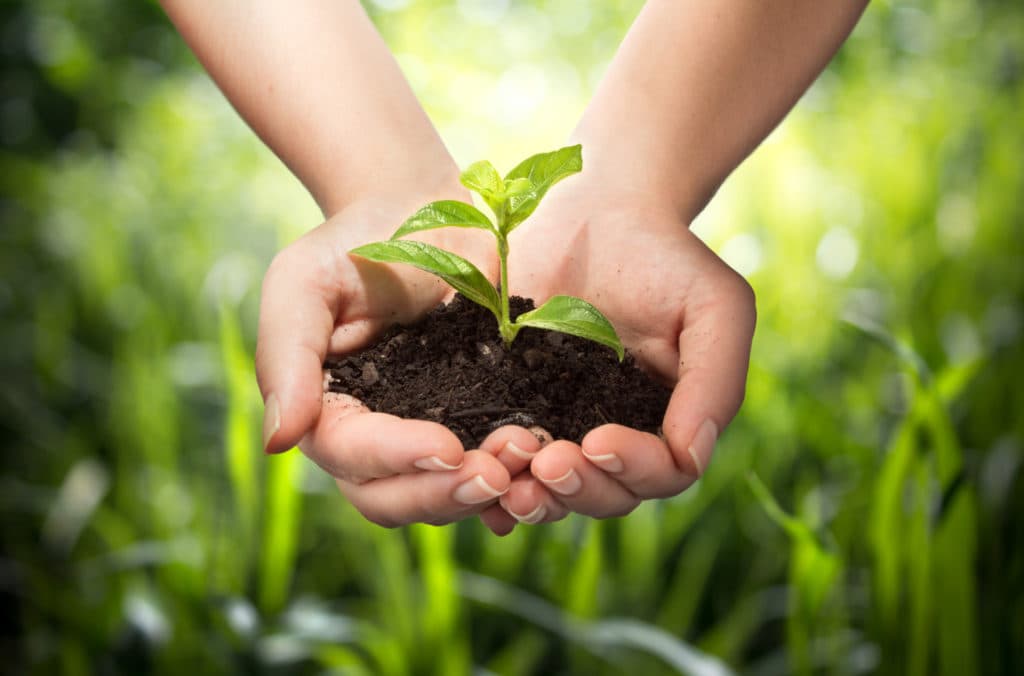 Planting Reformed Churches