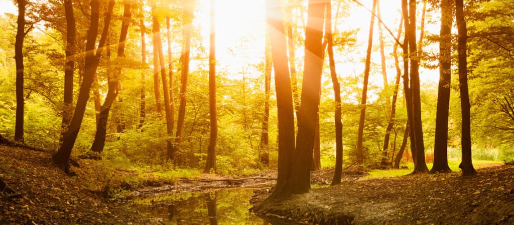 God’s Word in Our World: 2016 Austin Conference Preview