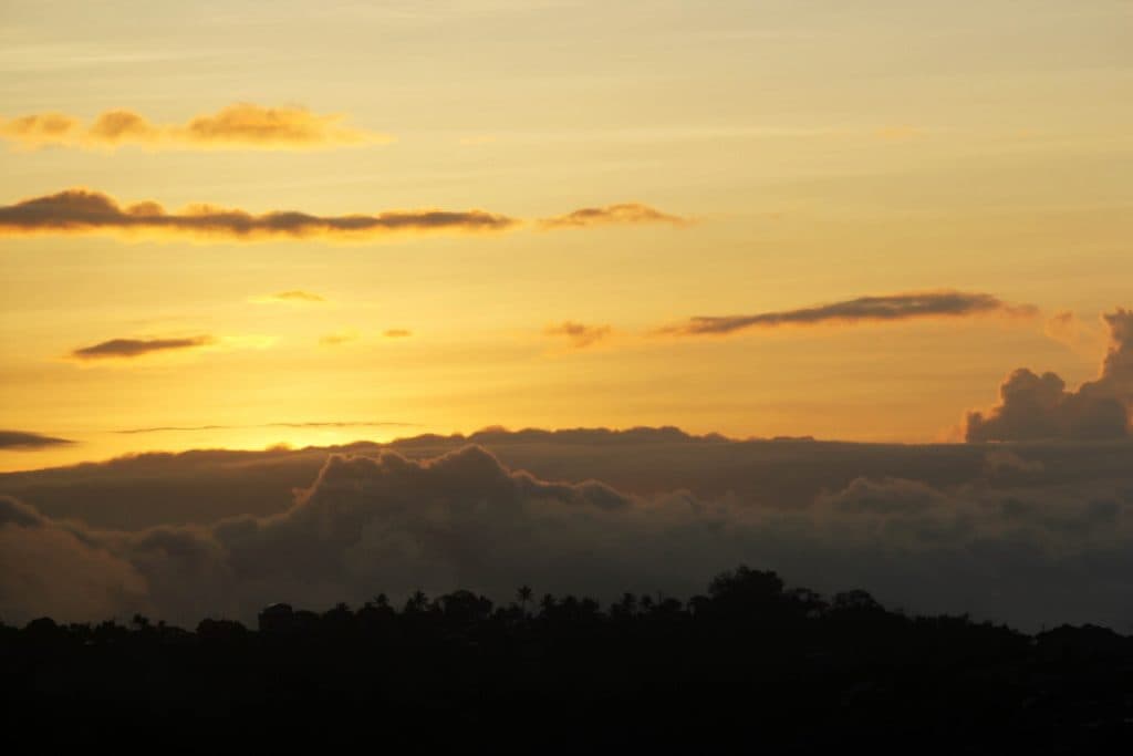 The Lord’s Day and the Resurrection Life