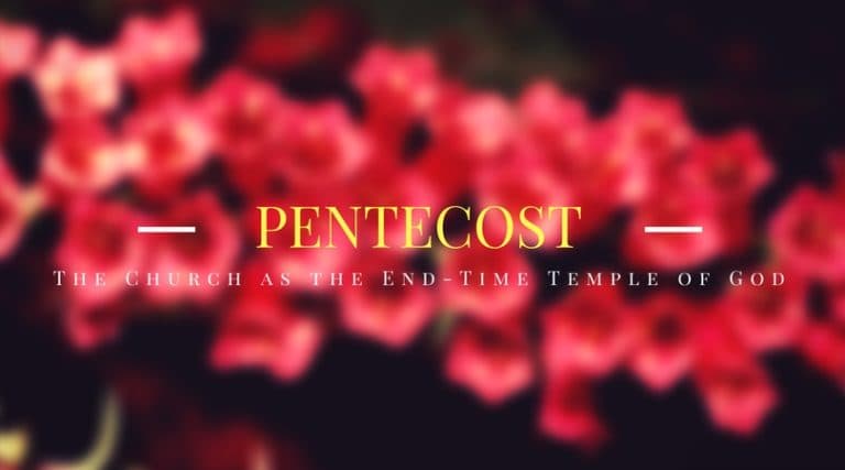Joy-Full Fellowship (Part 7): Pentecost