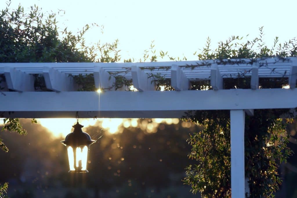 A Trellis for Trinitarian Theology