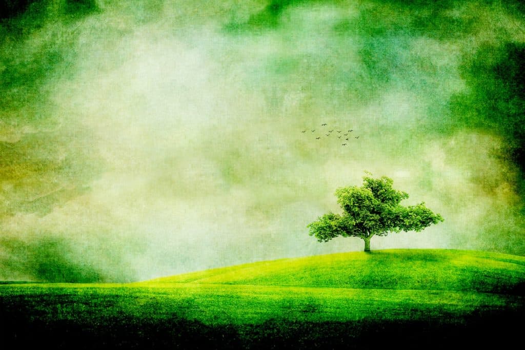 Life as the Enjoyment of the Covenant Communion Bond: The Tree of Life